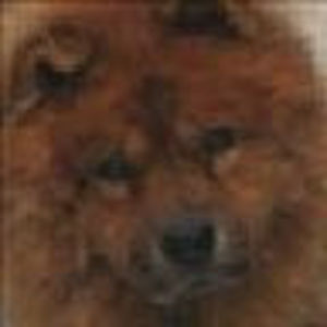 Meet your Posher, Carlos